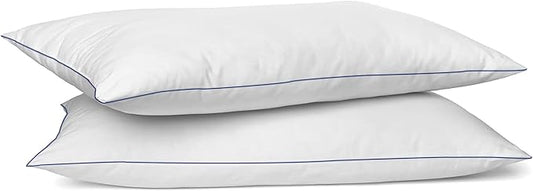 SILUI Extra Flat Soft Thin Pillows Queen Size Set of 2 Pack Bed Pillow with Down Alternative Fill for Side Back Stomach Sleepers, 20x30 Inches, White