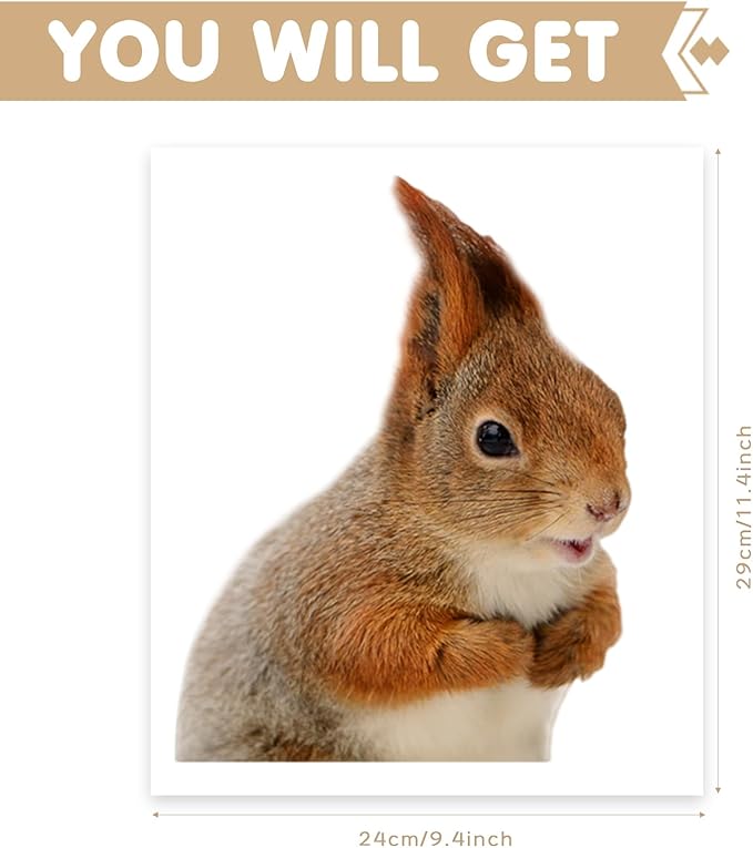 Cute Squirrel Wall Decal Peel and Stick Funny Realistic Squirrel Wall Sticker Decal for Kitchen Bedroom Playroom Game Room Farm Barn Funny Car Sticker Gift