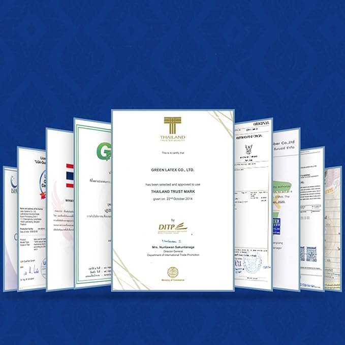 Talatex Talalay 100% Natural Premium Latex Pillow, Helps Relieve Pressure, No Memory Foam Chemicals, Perfect Package Best Gift with Removable Tencel Cover