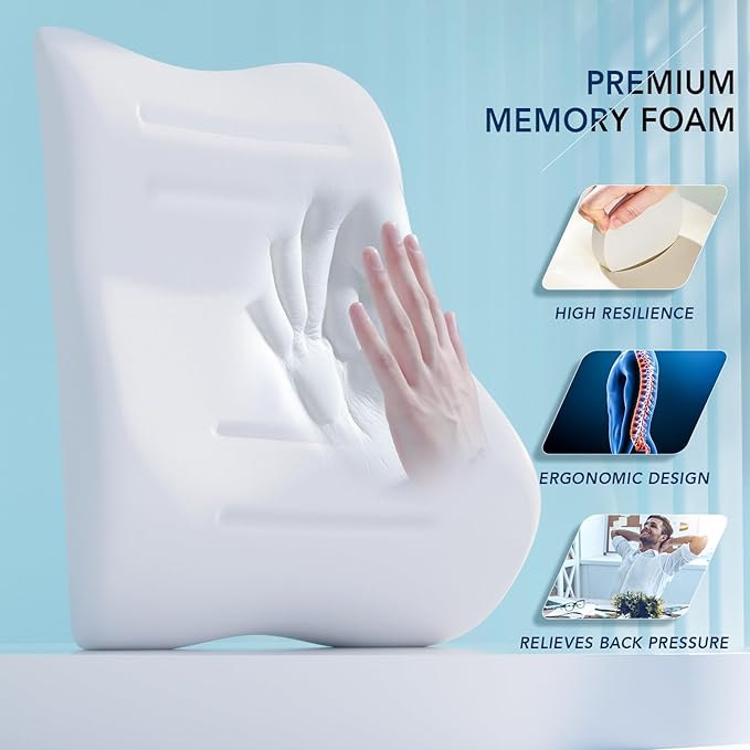 Lumbar Support Pillow for Office Chair, Memory Foam Cushion with Updated 3D Mesh Cover for Back Pain Relief, Ideal for Computer/Desk Chair, Car Seat, Gaming Chair, Recliner