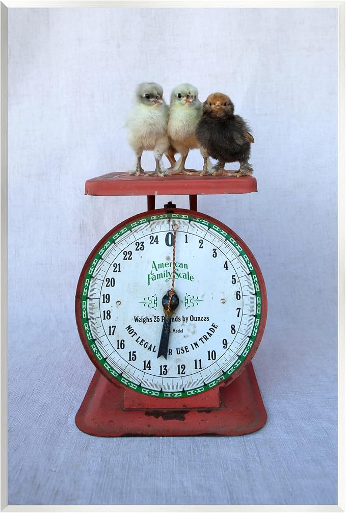 Stupell Industries Country BaBy Chick Birds on Vintage Kitchen Scale Wood Wall Art, Design By Tania Soderman