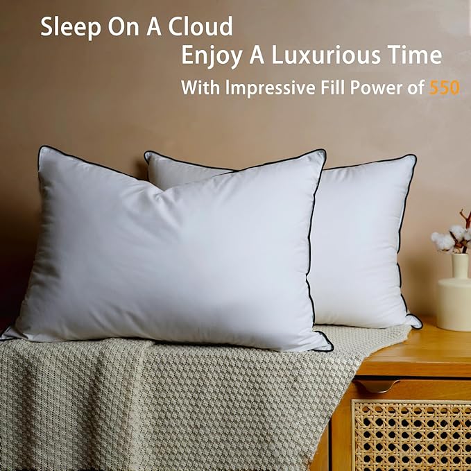 Natural White Goose Down Pillows- 550 Fill Power Down Pillow Queen Size - Soft and Support Down Bed Pillow for Back,Side,Stomach Sleepers,Queen (2 Pack ,20" x 28")