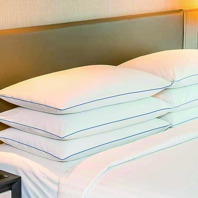 SILUI Extra Flat Soft Thin Pillows Queen Size Set of 2 Pack Bed Pillow with Down Alternative Fill for Side Back Stomach Sleepers, 20x30 Inches, White