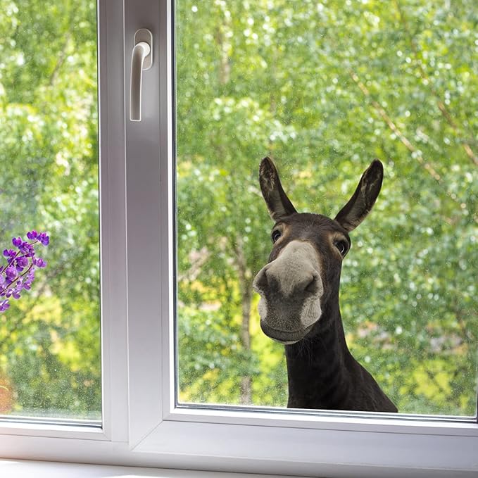 Cute Donkey Wall Decal Peel and Stick Funny Donkey Head Sticker Wall Decals Funny Gifts for Kids Friends Kitchen Bedroom Playroom Game Room Farm Barn Showcase Funny Car Sticker