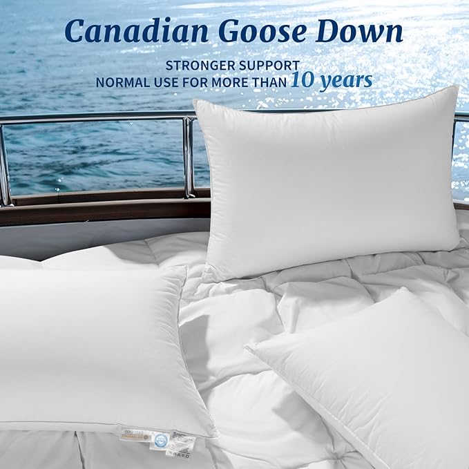 Canadian Luxury Goose Down Pillow Queen Size - 900 Fill Power, 600 TC Cotton Shell- Ultra Soft and Comfort Sleep Pillows - Bed Pillows for Back, Stomach, Side Sleeper(White,Queen(Pack of 2))