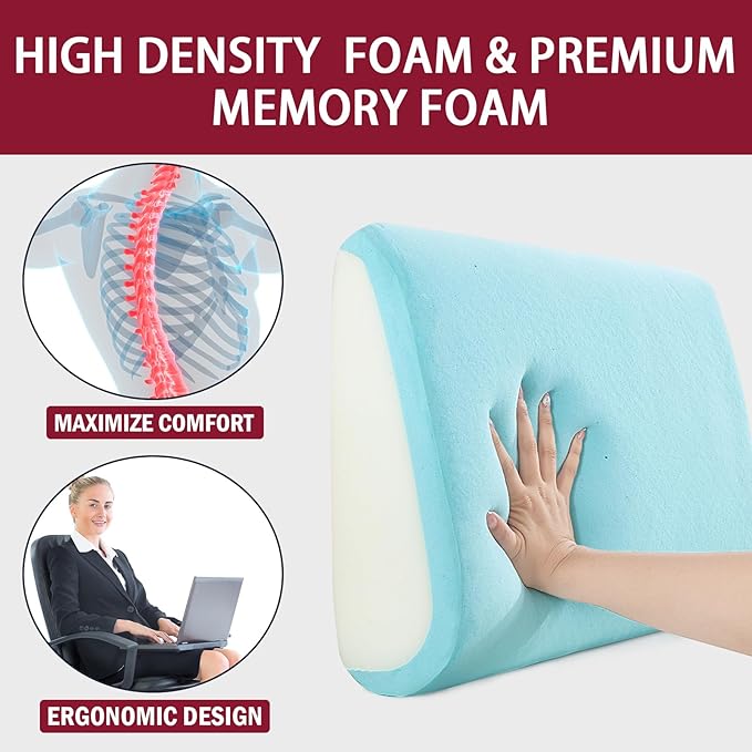 MABOZOO Memory Foam Back Support Cushion for Recliner Chair,Lumbar Support Pillow for Elderly,Extra Large Lumbar Support Pillow with Extension Straps,Wine Red