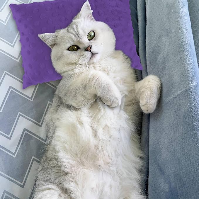 Small Pillow for Travel-Mini Travel Neck Pillows 11''*7''-Small Decorative Pillow-Tiny Pillows for Neck, Travel, Dogs, Cats