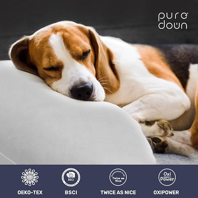 puredown® Soft Bed Pillows for Sleeping, Goose Feather Down Pillows Hotel Collection Queen Size of 2, Geometric Pattern Embossing Pillows for Back Stomach Side Sleepers (20 x 30, 2 Pack)