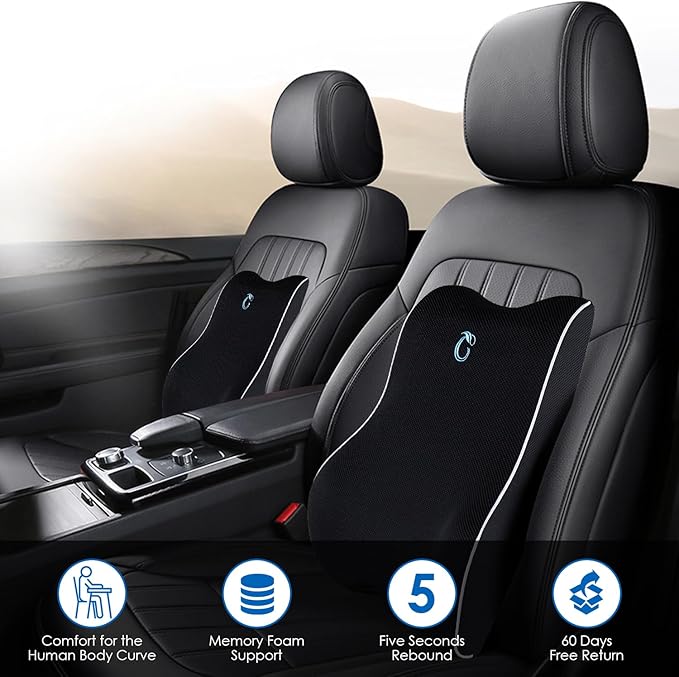 Lumbar Support Pillow for Office Chair, Memory Foam Cushion with Updated 3D Mesh Cover for Back Pain Relief, Ideal for Computer/Desk Chair, Car Seat, Gaming Chair, Recliner