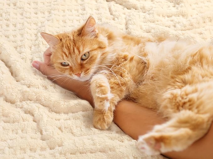 Sherpa Baby Blanket for Girls Toddlers Fleece Fluffy Fuzzy Blanket for Baby,Soft Warm Cozy Fleece Blanket,Receiving Blanket for Infant Newborn (Beige, 30 * 40, Waffle)