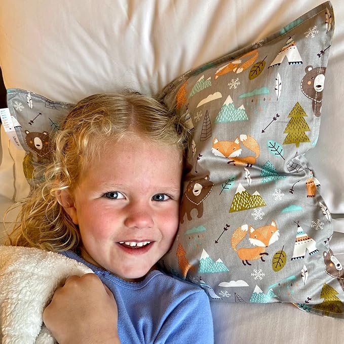 ALVABABY Toddler Pillowcases-Cotton Pillow Cover Fits 14x19 or 13 x 18 Kids Bedding Pillow 2 Pack Large Pillow Covers Envelope for Babies Children Boys Girls Sleeping and Travel Dinosaurs 2L-TPW10