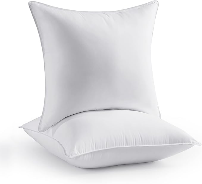 Throw Pillow Inserts 20 x 20 in Set of 2 for Couch and Sofa, Soft Fluffy Square Form Down Alternative Cushion Decorative Pillow Inserts