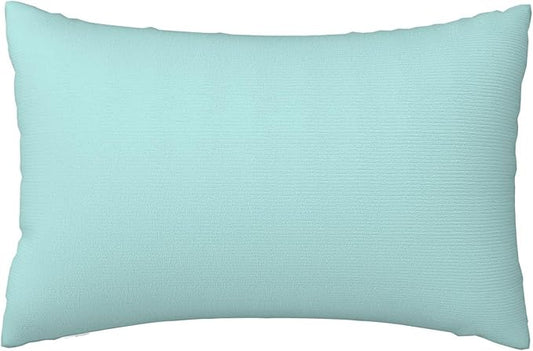 Pillowcase Pillow Case Standard Size 20 X 30 Pillow Cases Queen Size Pillow Covers Gifts for Women Men Girls Boys