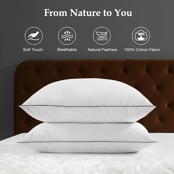 DWR Luxury Goose Feather Down Core Pillows Surrounded by Polyester - Set of 2 - Queen Size(20"x30") - Medium Firm - 100% Organic Cotton Cover