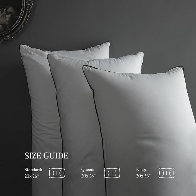MAXICOZY Hungarian Goose Down Pillow Queen Size, 3-Chamber Bed Pillows Queen Size Pillow, White Hotel Pillows for Sleeping, 460TC Soft Cotton Blend Shell- Queen (20" x 28"), 1 Pack