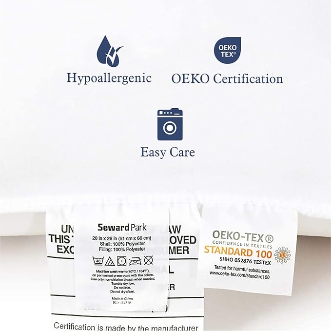 Throw Pillow Inserts 20 x 20 in Set of 2 for Couch and Sofa, Soft Fluffy Square Form Down Alternative Cushion Decorative Pillow Inserts