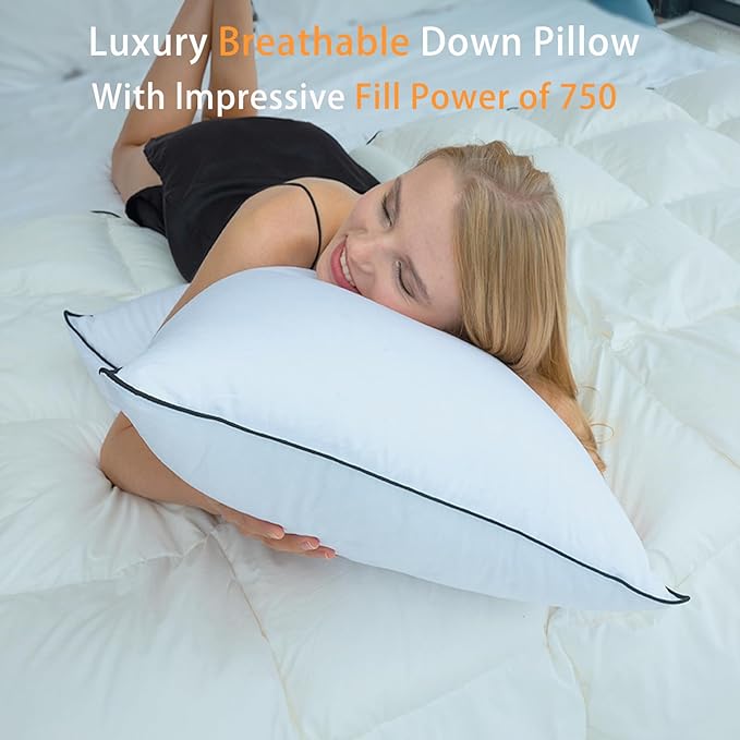 Luxury Hungarian White Goose Down Pillows Queen Size (Pack of 2) - 750 Fill Power - 500 Thread Count 100% Cotton Shell - Soft and Support Down Bed Pillow for Sleeping - Queen (20 x 28”)