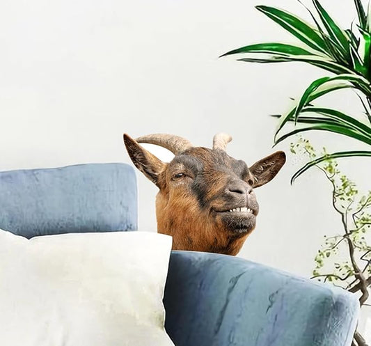 Vinyl Animal Wall Decals Peel and Stick Funny Goat Sticker Farmhouse Wall Art Decor Weird Fun Gifts for Friends Kids Room Sofa Wall Decor Cabinets Closet Sticker Car Decor