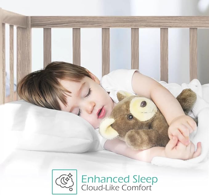 800 Thread Count 100% Egyptian Cotton Toddler Pillowcases Set of 2, Super Soft and Breathable Zipper Closer Travel Pillow Cases, 16x20 Inches, Teal Solid