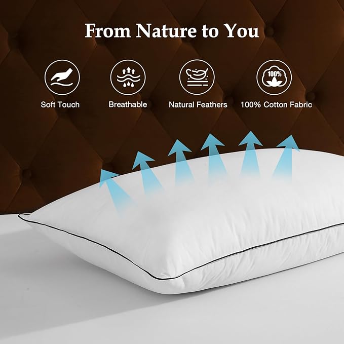 DWR Luxury Goose Feather Down Core Pillows Surrounded by Polyester - Set of 2 - Standard Size(20"x26") - Medium Firm - 100% Organic Cotton Cover