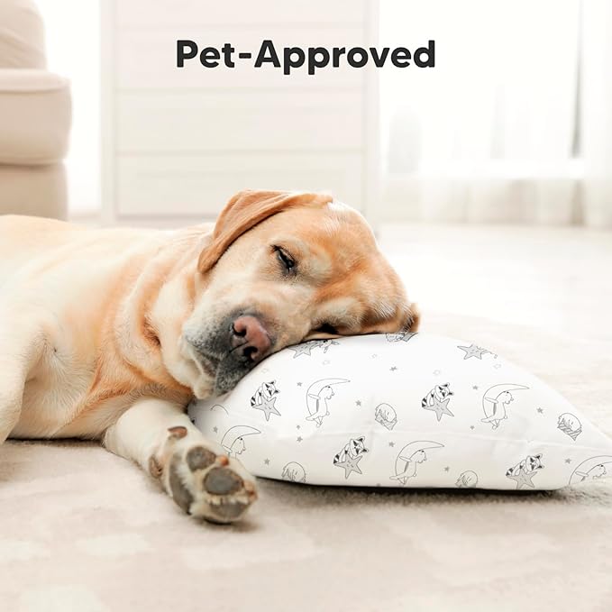 Toddler Pillow with Pillowcase - 10x18 My Little Dreamy Pillow, Organic Toddler Pillows for Sleeping, Kids Pillow, Small Pillows, Toddler Travel Pillows for Sleeping, Toddler Bed Pillows (Slumber)