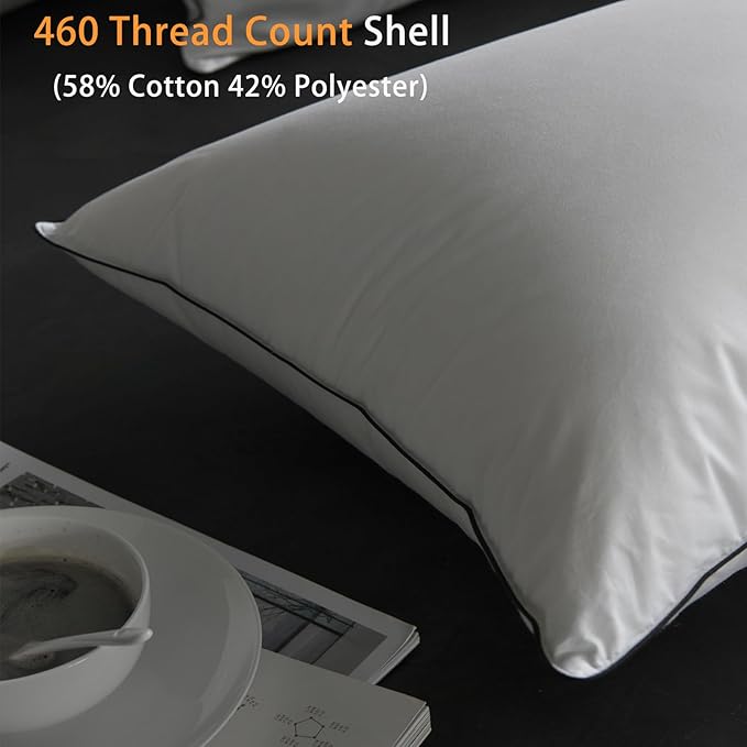 Luxury Hungarian White Goose Down Pillows Queen Size - 550 Fill Power - 460 Thread Count Cotton Blend Shell - Ultra Soft and Comfortable Sleep Pillows - 2 Pack (20" x 28")