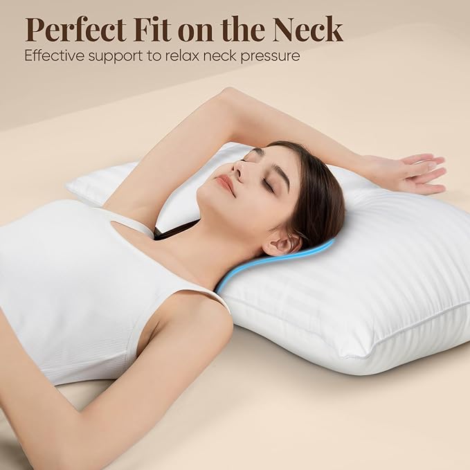 BP3 Bed Pillow, White Queen (Pack of 2), 2 Count