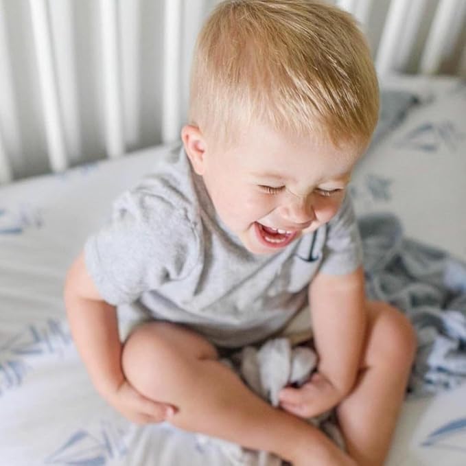 Ely's & Co. Bassinet Sheet 100% Jersey Cotton 2 Pack (Blue Nautical Print)