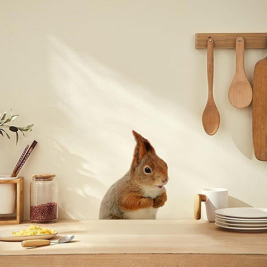 Cute Squirrel Wall Decal Peel and Stick Funny Realistic Squirrel Wall Sticker Decal for Kitchen Bedroom Playroom Game Room Farm Barn Funny Car Sticker Gift