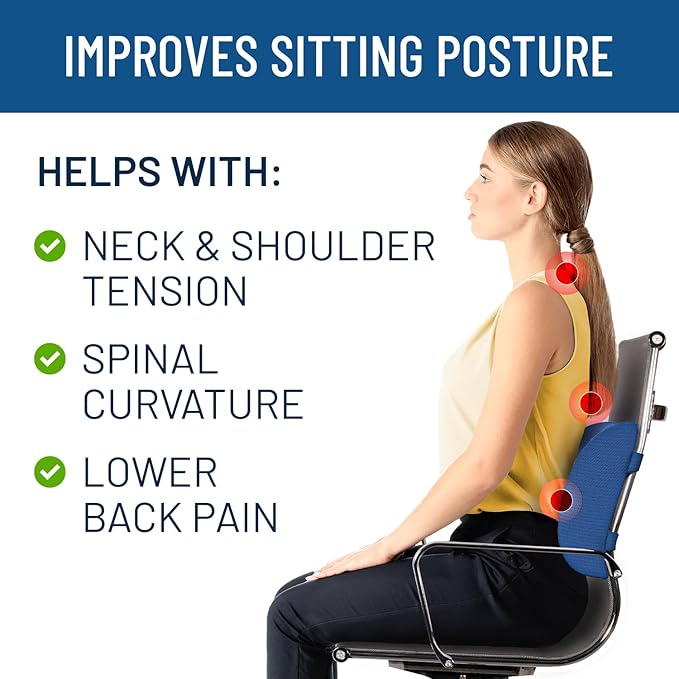 Everlasting Comfort Lumbar Support Pillow for Office Chair - Memory Foam Back Cushion for Chair, Car, Couch - Lumbar Pillow Promotes Better Posture, Back Pain Relief - Ideal for Gaming and Desk Chairs