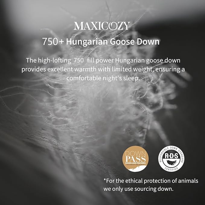 MAXICOZY Luxury Hungarian Goose Down Pillows Standard Size 1 Pack, Medium Firm Bed Pillows for Sleeping, Hotel Pillows, 750 Fill Power, 460 TC Cotton Blend Shell, 20"x26"