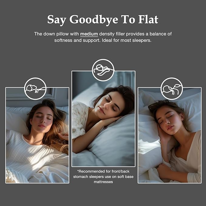 DWR Luxury Goose Feather Down Core Pillow Surrounded by Polyester - Set of 1 - Queen Size(20"x30") - Medium Firm - 100% Organic Cotton