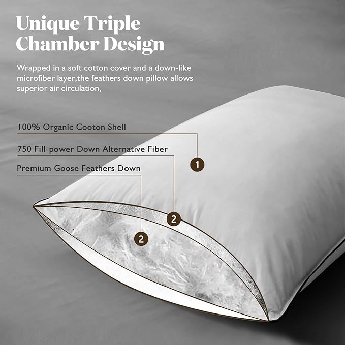 BPC Luxury Feather Down Pillow Standard Size Set of 2 - Medium-Firm Feather Pillow, 3-Chamber Organic Cotton Cover Bed Pillow Inserts, Wrapped in Polyester, 20x26 Inches