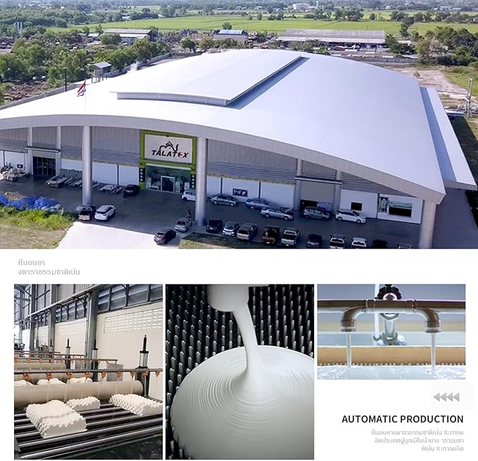 Talatex 100% Natural Premium Dunlop Latex Pillow, Medium Low Pofile Latex Firm Pillow Helps Relieve Pressure, Neck and Shoulder Pain