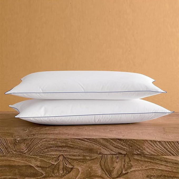 SILUI Extra Flat Soft Thin Pillows Queen Size Set of 2 Pack Bed Pillow with Down Alternative Fill for Side Back Stomach Sleepers, 20x30 Inches, White