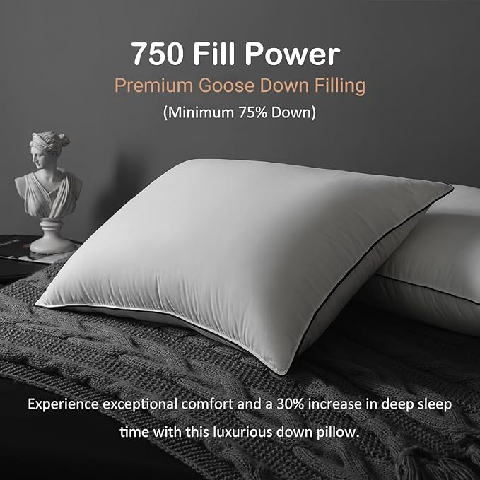 Luxury All Hungarian Goose Down Pillows Standard Size,Soft and Support Down Bed Pillow for Back,Side,Stomach Sleepers,480 Thread Count 100% Cotton Shell,Standard Size Soft Pillow 2 Pack 20"x26"