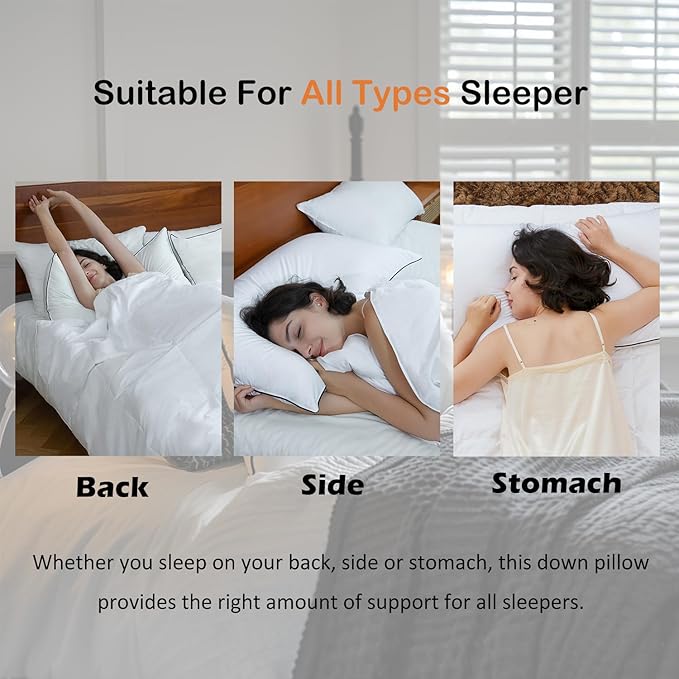 Luxury All Hungarian Goose Down Pillows Standard Size,Soft and Support Down Bed Pillow for Back,Side,Stomach Sleepers,480 Thread Count 100% Cotton Shell,Standard Size Soft Pillow 2 Pack 20"x26"