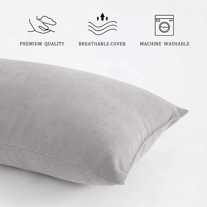 BEDSUM 2 Pack Pillows, 13"x18" Microfiber Pillows for Travel, Pet, Soft and Machine Washable Small Pillows for Neck, Wrist, and Knee Comfort, Light Grey