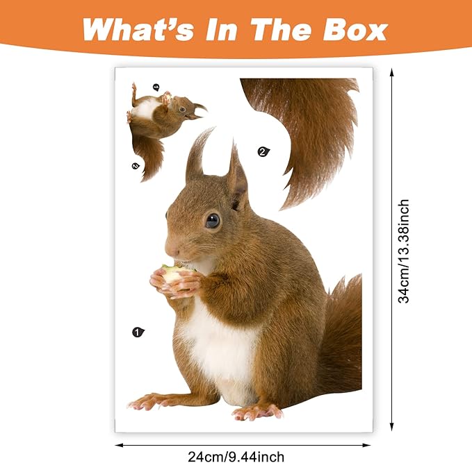 Cute Squirrel Decals Peel and Stick Vinyl Squirrel Wall Art Sticker for Bedroom Kitchen Bathroom Kids Room Decor Cafe Shop Wall Window Closet Decor