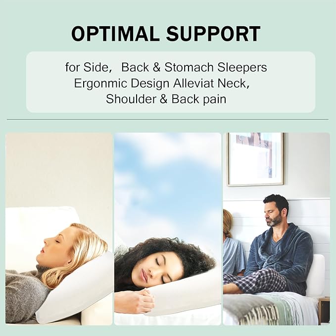 Talalay 100% Natural Premium Latex Pillow, Queen Bed Pillow with Removable Cotton Cover, Helps Relieve Pressure, Sleeping Pillow Suitable for Back and Side Sleepers and as Travel Pillow, Best Gift