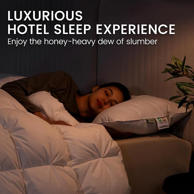 Alanzimo Goose Feather Down Pillows Queen Size Set of 2, Luxury Soft Feather Down Pillow for Sleeping, 600TC 100% Cotton Cover Hotel Collection Bed Pillows for Back, Stomach or Side Sleepers 20x28