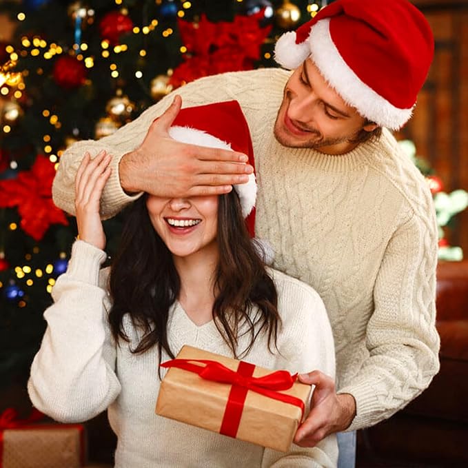 South to East Canopy Bed Curtains, 4 Corner Post Queen Bed Canopy for Girls, Wine Red Bed Drapes for Bedroom, King Canopy Bed Curtain, 100% Ripstop Polyester, Easy Installation, King/Queen Size Rose