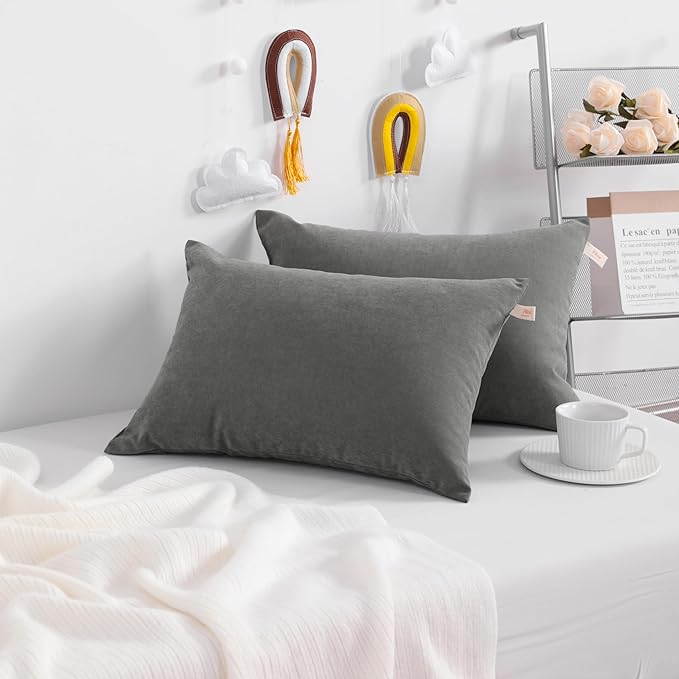 NTBAY Toddler Pillows, Down Alternative 13"x18" Pillows, Machine Washable - Soft and Breathable Travel Small Pillows for Sleeping, Ideal for Daycare, Crib, Cot, Dark Grey