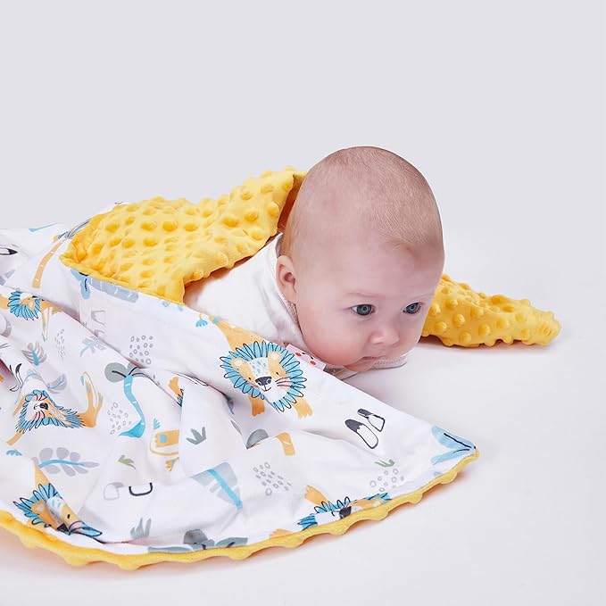 Baby Blanket for Boys Girls Super Soft Blanket,Fluffy Warm Lightweight Baby Receiving Blankets,Double Layer with Dotted Backing for Toddler Nursery (Lion, 30 * 40inch)