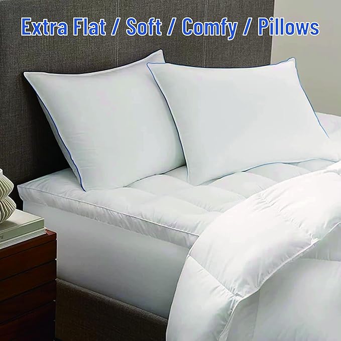 SILUI Extra Flat Soft Thin Pillows Queen Size Set of 2 Pack Bed Pillow with Down Alternative Fill for Side Back Stomach Sleepers, 20x30 Inches, White