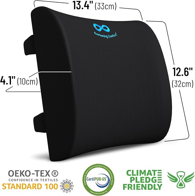 Everlasting Comfort Lumbar Support Pillow for Office Chair - Memory Foam Back Cushion for Chair, Car, Couch - Lumbar Pillow Promotes Better Posture, Back Pain Relief - Gaming and Desk Chairs - 2 Pack