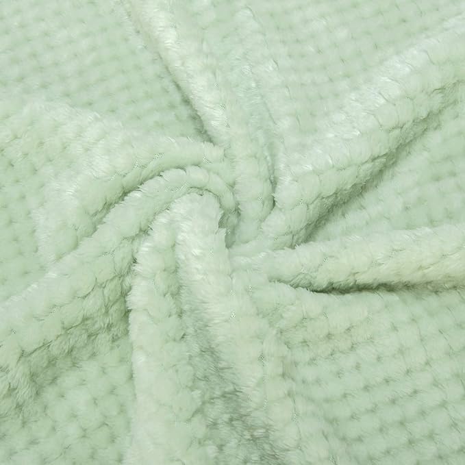 Fuzzy Throw Blanket, Plush Fleece Blankets for adults, Toddler, boys and Girls, Warm Soft Blankets and Throws for Bed, Couch, Sofa, Travel and Outdoor, Camping (Twin(60"x80"), XL1-Pastel Green)