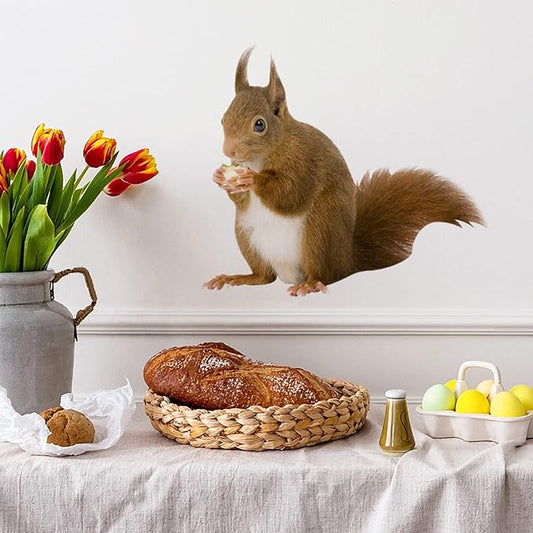 Cute Squirrel Decals Peel and Stick Vinyl Squirrel Wall Art Sticker for Bedroom Kitchen Bathroom Kids Room Decor Cafe Shop Wall Window Closet Decor