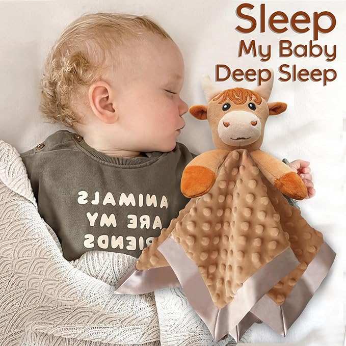 Boy Highland Cow Baby Security Blanket Loveys for Babies Girls, 16" Soft Baby Lovey Blanket, Baby Snuggle Stuffed Animals Blankie, Baby Girls Gifts for Infant and Toddler