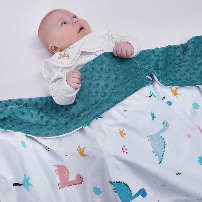 Baby Blanket for Boys Girls Super Soft Blanket,Fluffy Warm Lightweight Baby Receiving Blankets,Double Layer with Dotted Backing for Toddler Nursery (Dinosaur, 30 * 40inch)